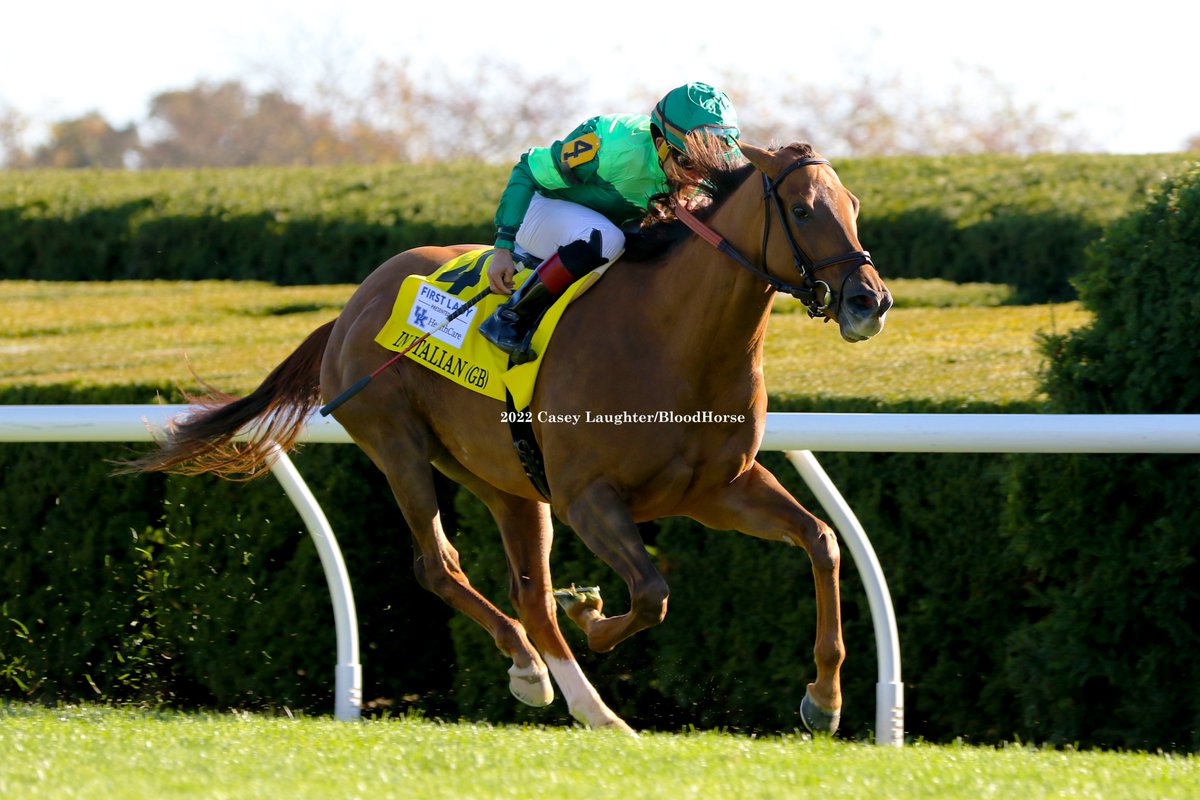 casey_laughter's tweet photo. In Italian (GB) (Dubawi) wins the Grade One First Lady at @keeneland going gate to wire. The likely plan is for her to go the Filly &amp; Mare Turf for owner Peter Brant and trainer @TheRealChadCBr1. @JRosarioJockey @BloodHorse #PeterBrant #ChadBrown https://t.co/ukySTfzBRD