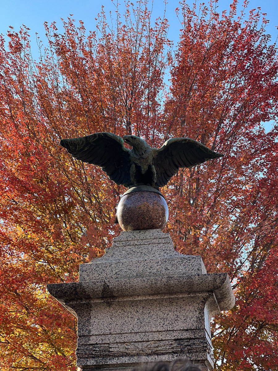 Tom Journell tweet media