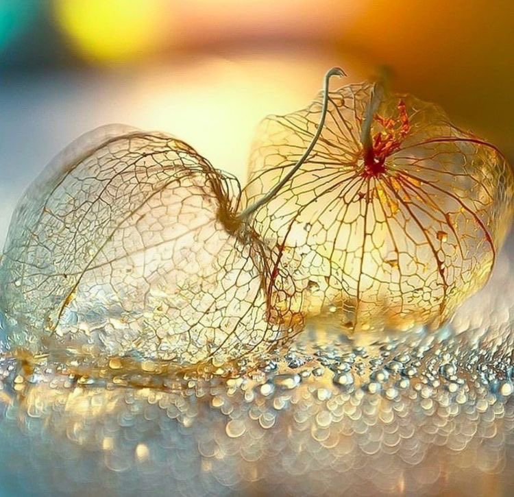 Gentle light and sweet dreams