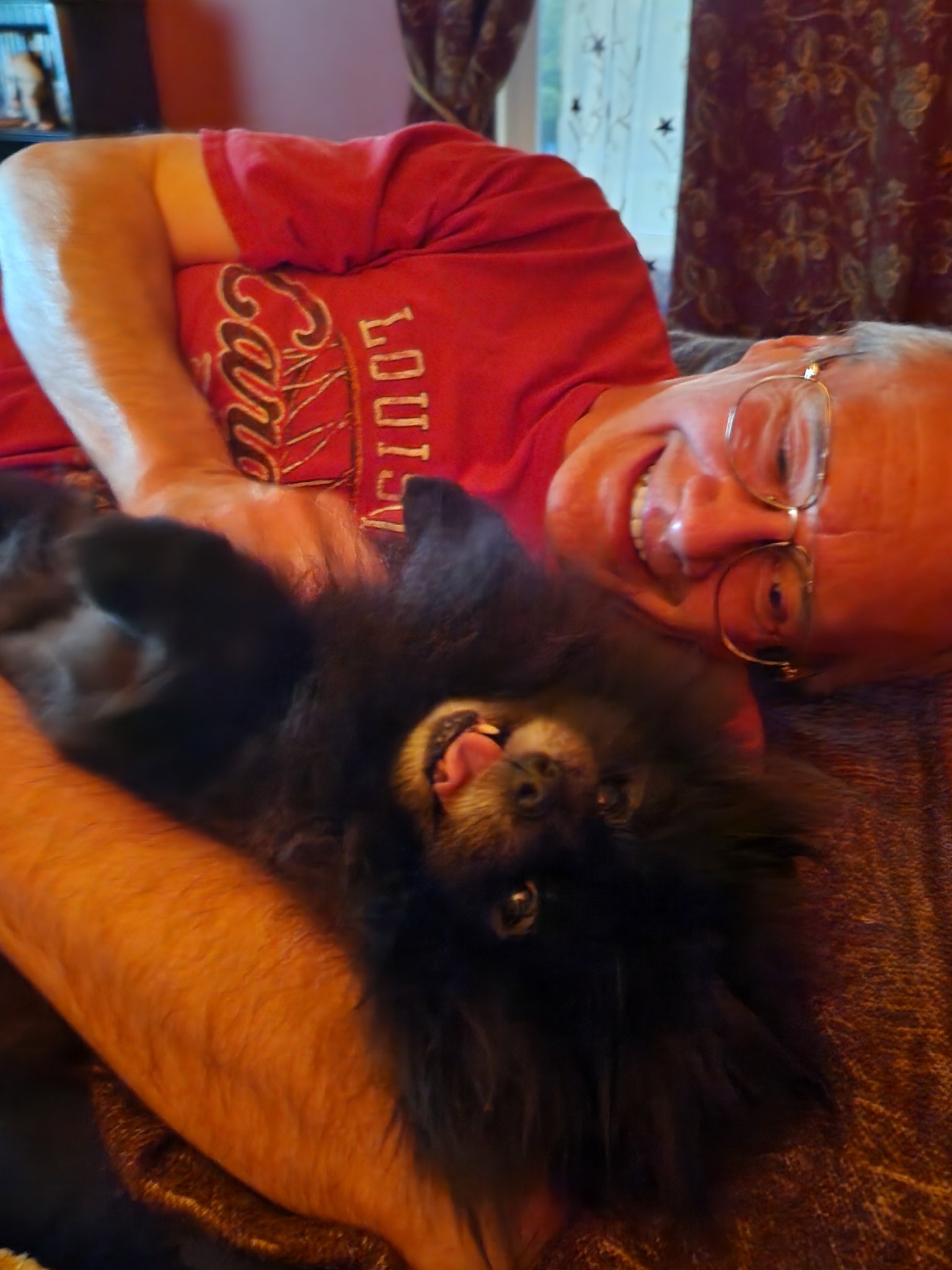 Svengoolie Tonight Metv - c4yxjlz
