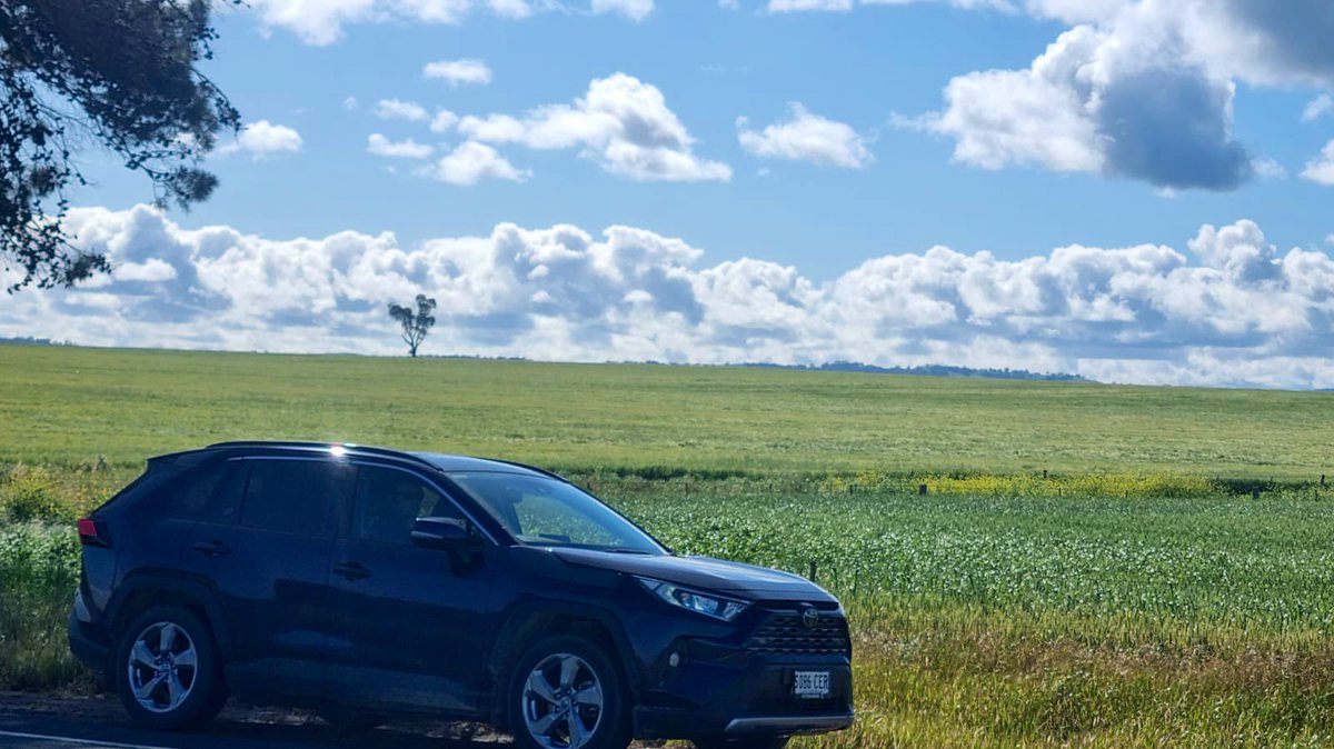 GreatAustralia's tweet photo. Weekend drives are the best drives this time of year. Sun ☀️ is out with plenty of healthy #crops. Pulse crops looking good 👌fitting well into a cereal-based #cropping and stubble-retention system around #midnorth #southaustralia #wrightsocial #plant22 https://t.co/HONodqIIM0
