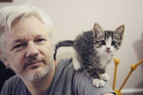 aka_Gb's tweet photo. If we allow Julian #Assange to be extradited to the U.S.A. it will set the stage for unhinged nations who oppress freedom of speech to justify cracking down on dissenting views. It tells Saudi Arabia that it’s okay to kill a journalist in a foreign embassy #WeAreAllAssange https://t.co/0GvnVqsfVG