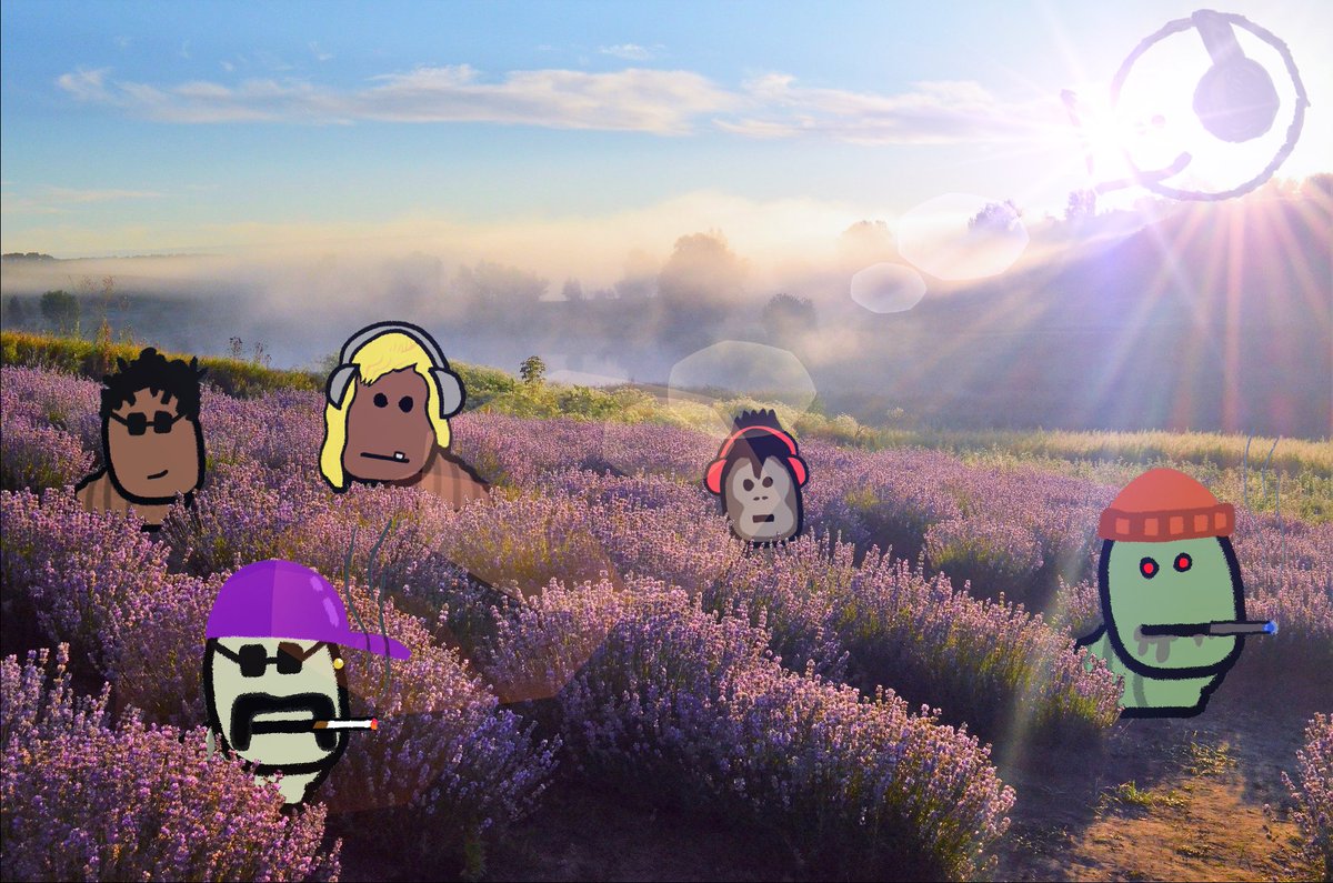 dreaming of beautiful fields of larvender 💜🌺