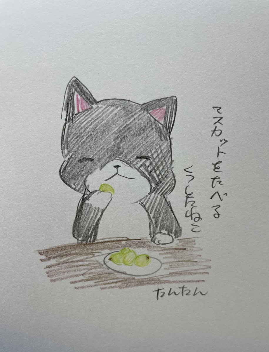 マスカットを食べるくつしたねこ
#イラスト #猫 