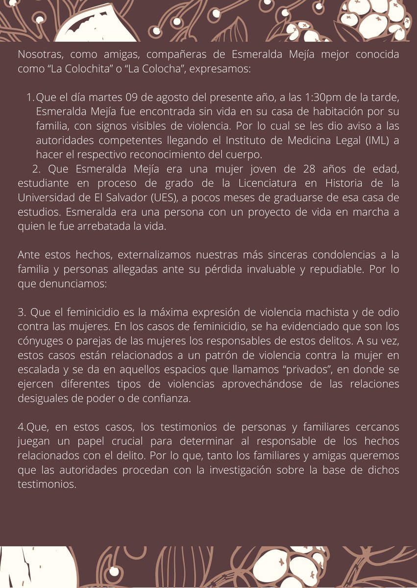 JustparaEsme's tweet photo. #JusticiaParaEsme 
Esme no murió, a Esme la asesinaron.
#ExigimosJusticia https://t.co/12MyPK8yFo