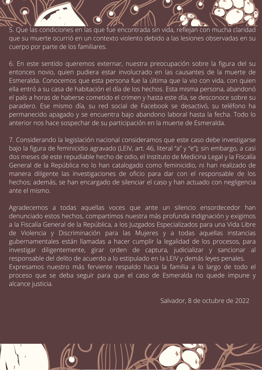 JustparaEsme's tweet photo. #JusticiaParaEsme 
Esme no murió, a Esme la asesinaron.
#ExigimosJusticia https://t.co/12MyPK8yFo