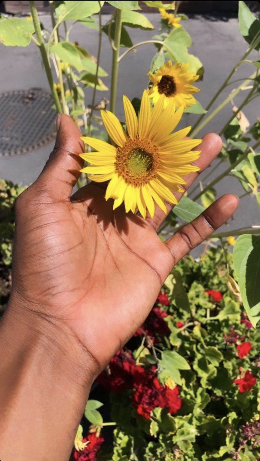 AFRICAN SHEEN (AfricanSheen) / Twitter