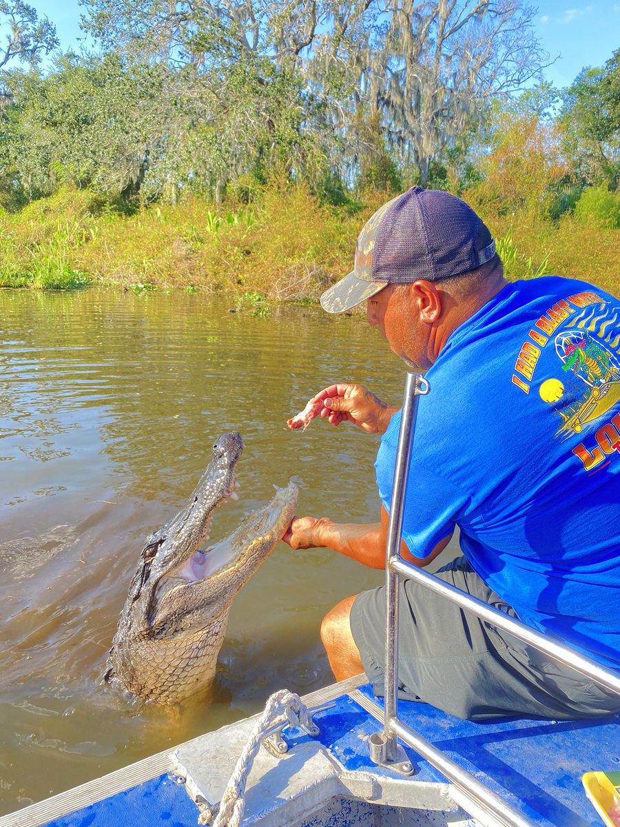 Cheese_Plattaaa's tweet photo. On the Bayou 🐊 https://t.co/1RoJlV9PMH