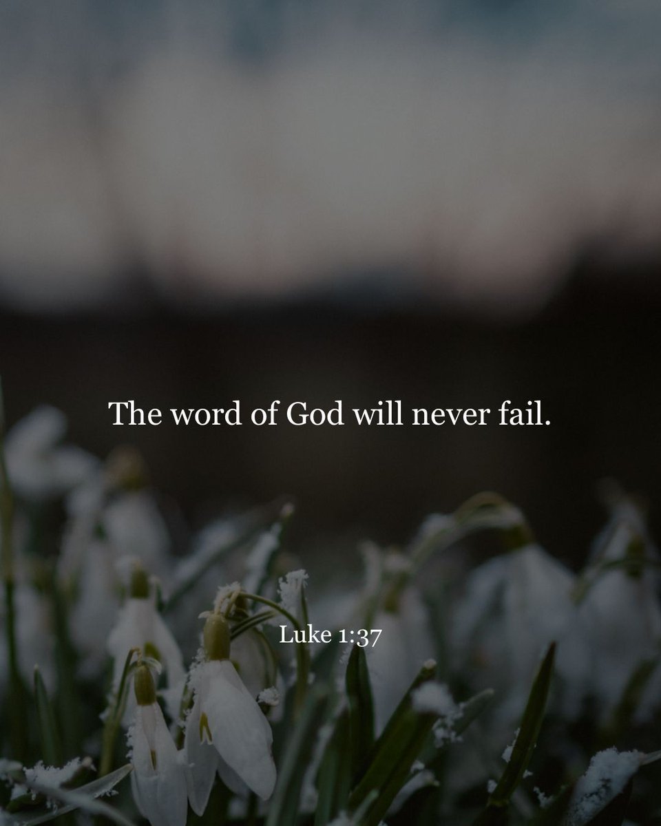 YouVersion's tweet photo. “For no word from God will ever fail.”⠀ Luke 1:37 https://t.co/tcjiKvd8EP