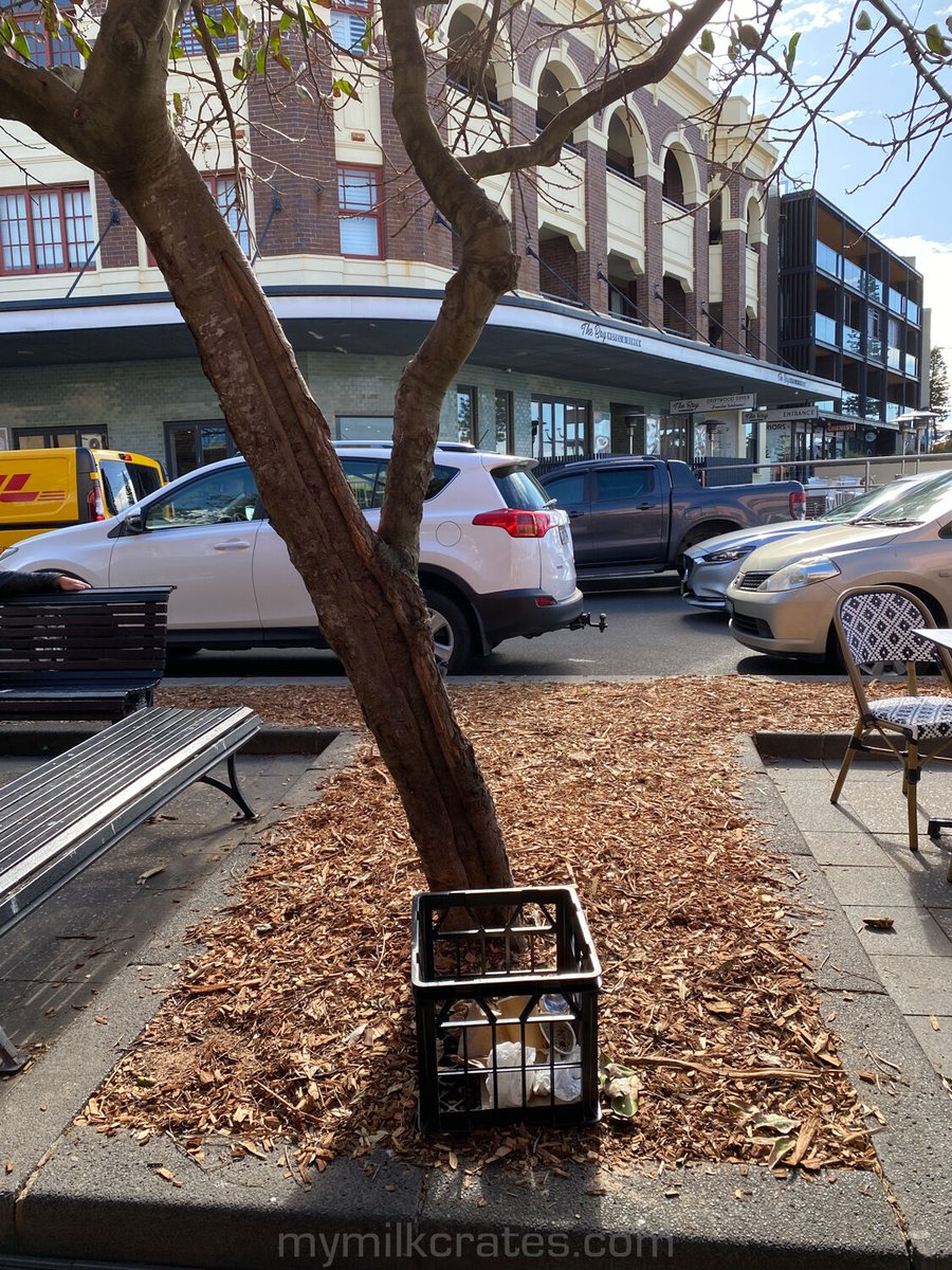 mymilkcrates's tweet image. Tree crate
#milkcrates #crateoftheday #picoftheday #streetphotography #streetscape #urbanscape #PhotoOfTheDay #urbanlife #crates #instagram #bikecrates #tradies mymilkcrates.com