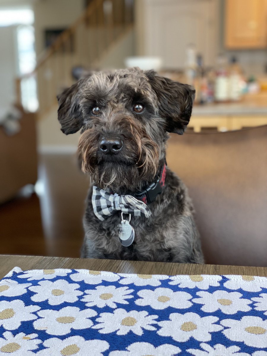 dog_yeg's tweet photo. I do. https://t.co/S6Jyx0kXpm