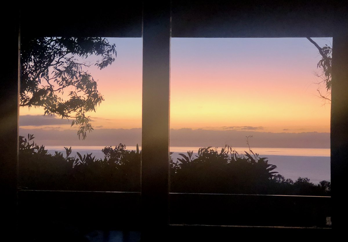 Sleepy Sundays at #Thalabeach .. waking up to this view from our recently renovated Birdwing Suite ✨ 🌿

 #exploreTNQ #portdouglasdaintree #portdouglas #thisisqueensland #thalabeach #seeaustralia #ecotourism #visitportdouglas #explorecairnsGBR #resort #travel #birdwing #sunrise