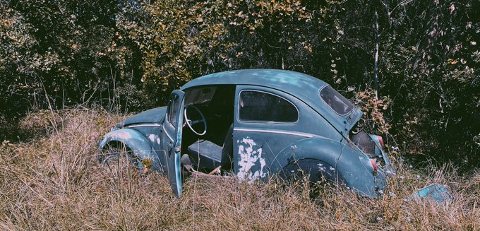 Should I do a Halloween photo shoot here? https://t.co/3U51LQMJlP