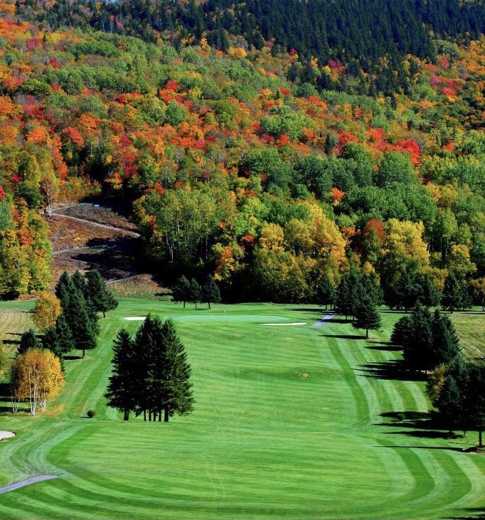 Andrew McQuade tweet media