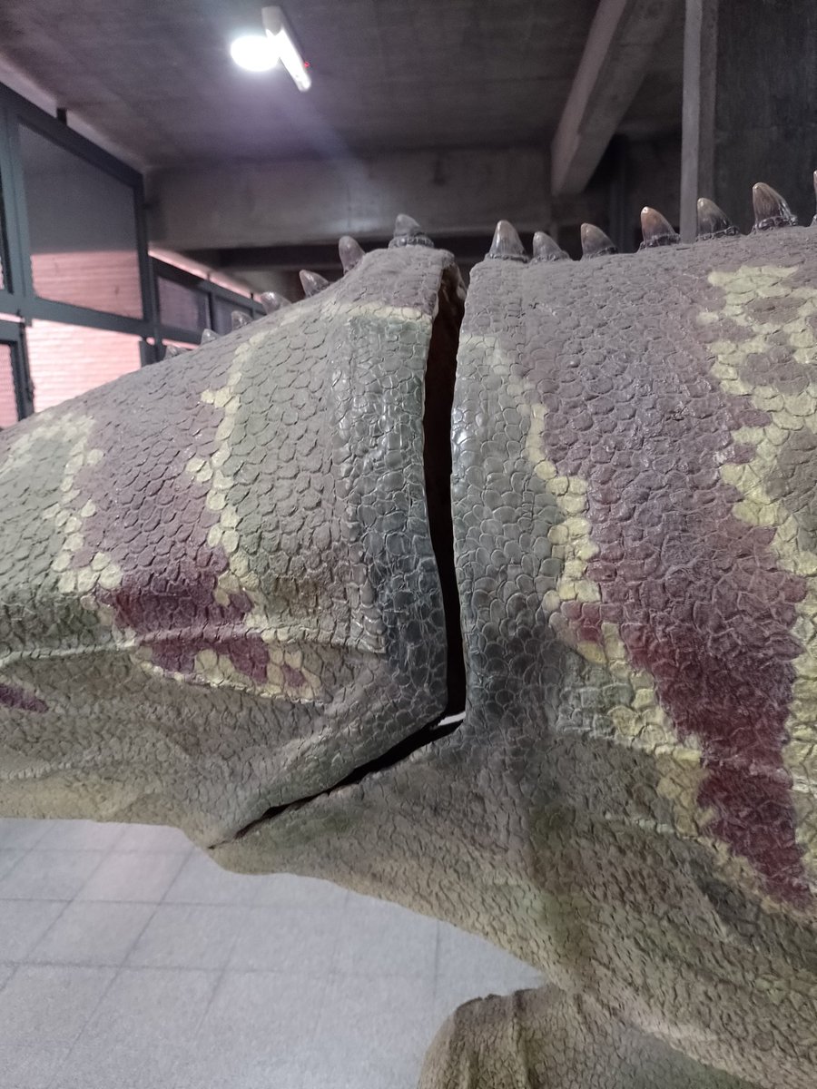 SalicaBruno's tweet photo. Comparto un par de fotos del lamentable estado de abandono en que se encuentran las esculturas que realice para el Ministerio de Educación de Tucumán. Hago responsables a las autoridades de la actual gestión por su estado. @educaciontuc @jplichtmajer @centroinno #educatec https://t.co/azwhZTS5DZ