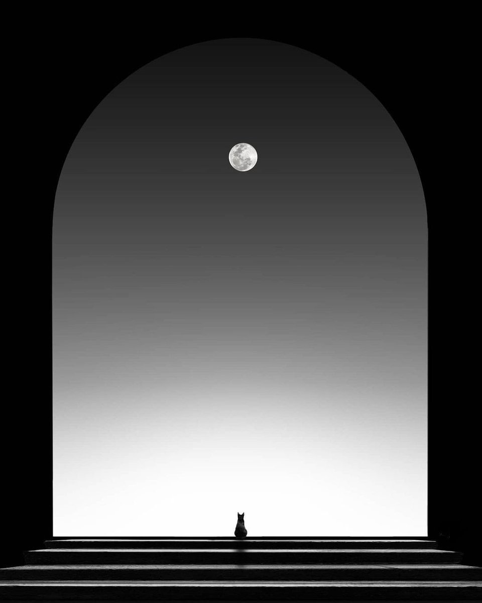 He was never the stars
Nor was he the moon
He was always the darkness 
That kept you restless 

                      - r.h Sin