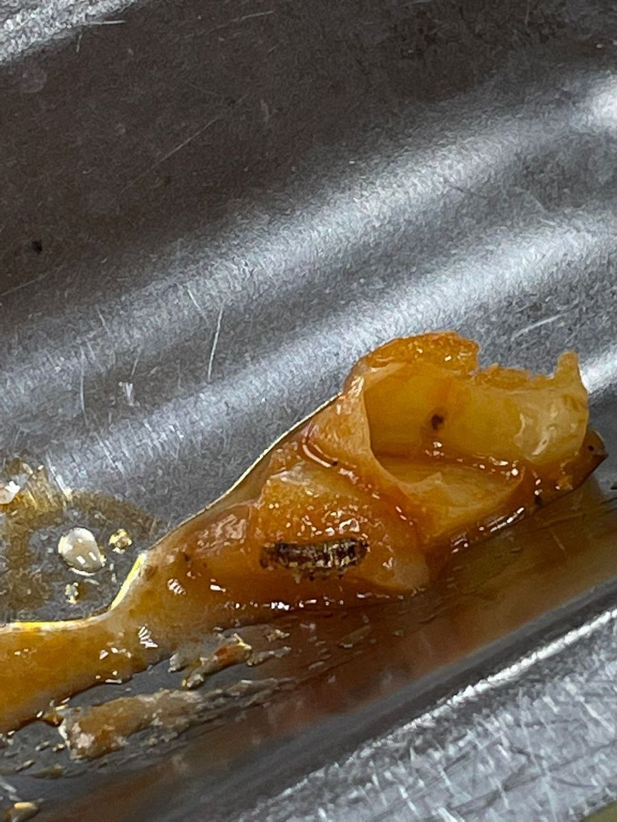 Görüntülere yenileri ekleniyor ve biz öğrenciler ekonomik şartlar bu kadar kötüyken ailemizden uzak yuvamız diye bildiğimiz, eğitim almaya çalıştığımız okullarımızda, yurtlarımızda bu koşullarda yaşamak istemiyoruz. Ne okullarımız ticarethane, ne de bizler ticaret için birer meta