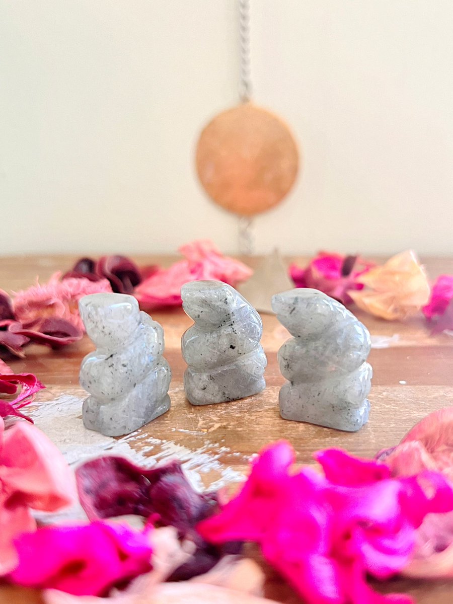 Annabtlouise's tweet photo. NEW CRYSTALS ARE NOW AVAILABLE IN MY SHOP!🤍✨ I just had tons of beautiful crystals just hit my shop and I would love to find some of them a home today🥺🤍✨ PICS ARE IN THE THREAD BELOW! https://t.co/YKjo4UcXHl comes with an info cutout + a gift &amp; same/next day shipping!🤍✨ https://t.co/94m2zBUYVA