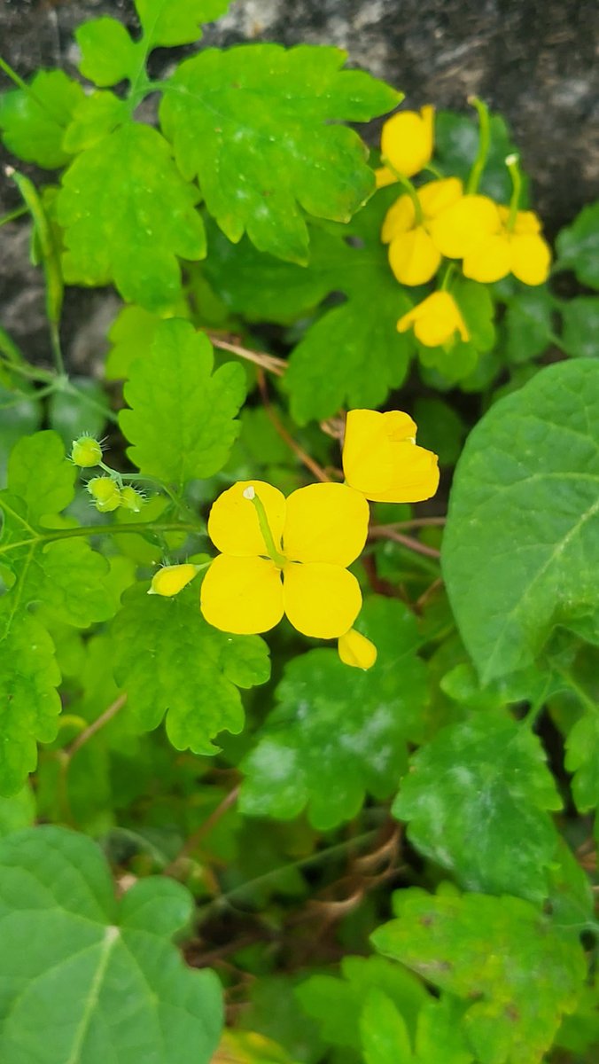 💖성공한 사람들이 남몰래 조용히하는건 뭘까용?^^🤔하와이대저택님 유튜브 보시면서 알아가볼까요?^^🥰구독!좋아요!알람!🥰💖