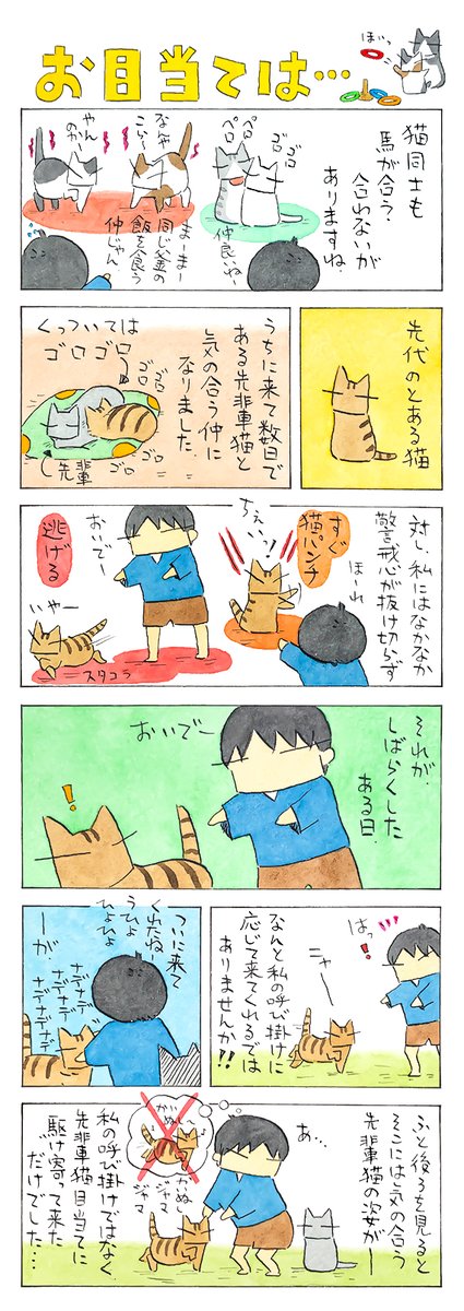 「猫で馬」
とは言え、私に近付くことに対しての
警戒心が薄くなっていたのは嬉しい兆候でした。
(久保智昭さんの「猫色スケッチブック」)つづきはこちら⇒https://t.co/Wzhxd8MCoc 