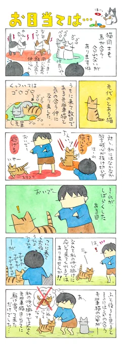 「猫で馬」
とは言え、私に近付くことに対しての
警戒心が薄くなっていたのは嬉しい兆候でした。
(久保智昭さんの「猫色スケッチブック」)つづきはこちら⇒https://t.co/Wzhxd8MCoc 