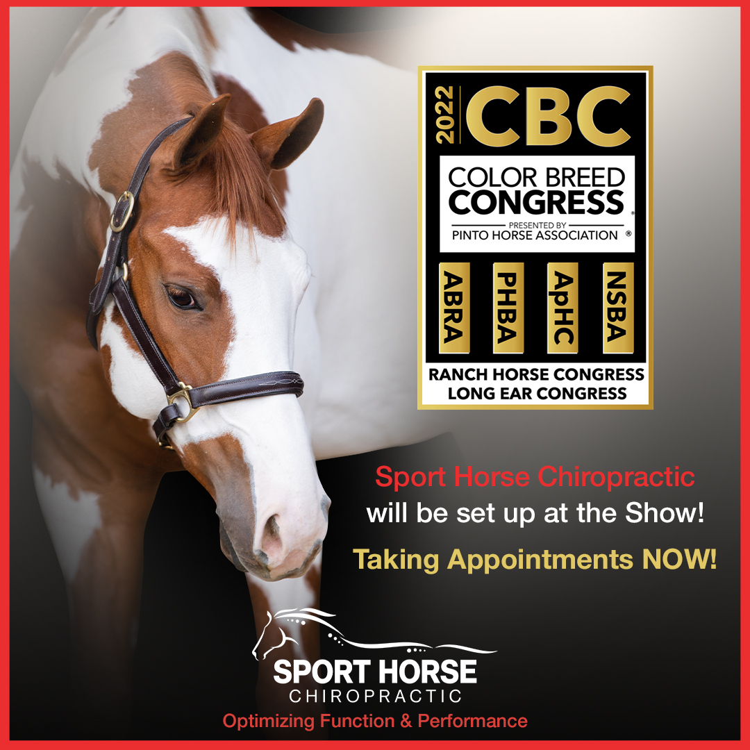 drmikeadney's tweet photo. Color Breed Congress

Sport Horse Chiropractic will be at the 2022 Color Breed Congress in November.

Taking appts now! 480-490-6655

#chiropractor #equinechiropractor #horses #performancehorses #winning #equine #colorhorses #colorbreedcongres #aqha #nsba https://t.co/tyfVMSEtj0