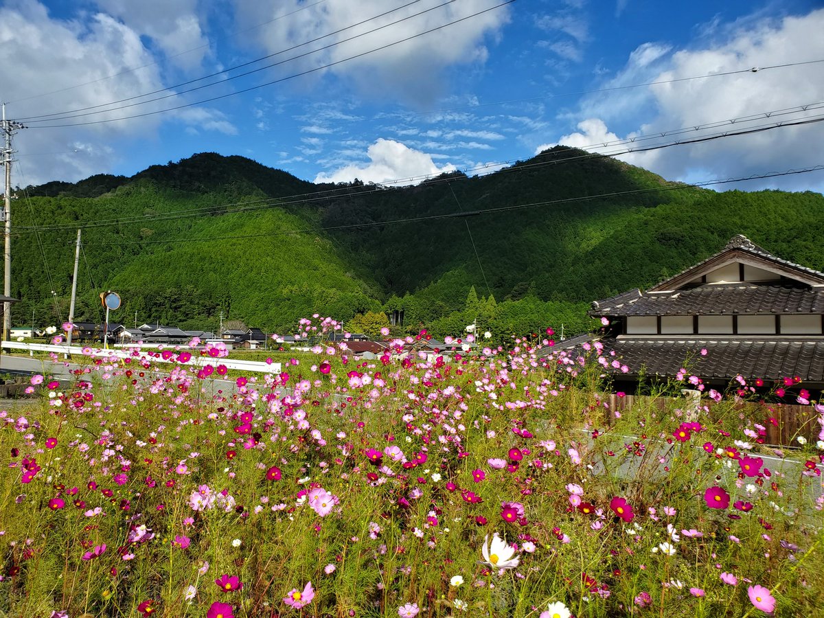 週末田舎暮らし Twitter Search Twitter 週末田舎暮らし Twitter Search Twitter