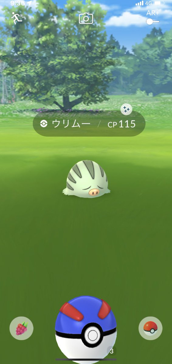 ポケモンgo マンムーの色違い 入手方法と実装状況 攻略大百科