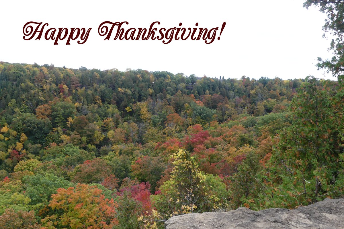 Linda Lee tweet media