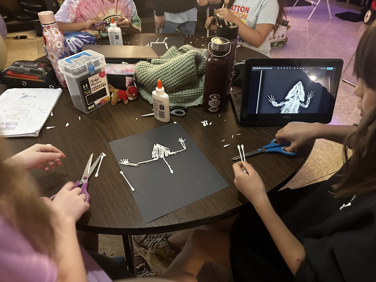 Robin Beasley, M.S., NBCT tweet media