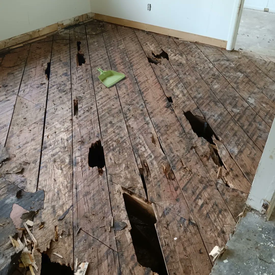 TheClayDowning's tweet image. Trying to get some work done but really just making a mess
#dirtyhandscleanmoney #makeamess #sidework #weekendjob #handyman #remodel #remodeling #dirtyjobs