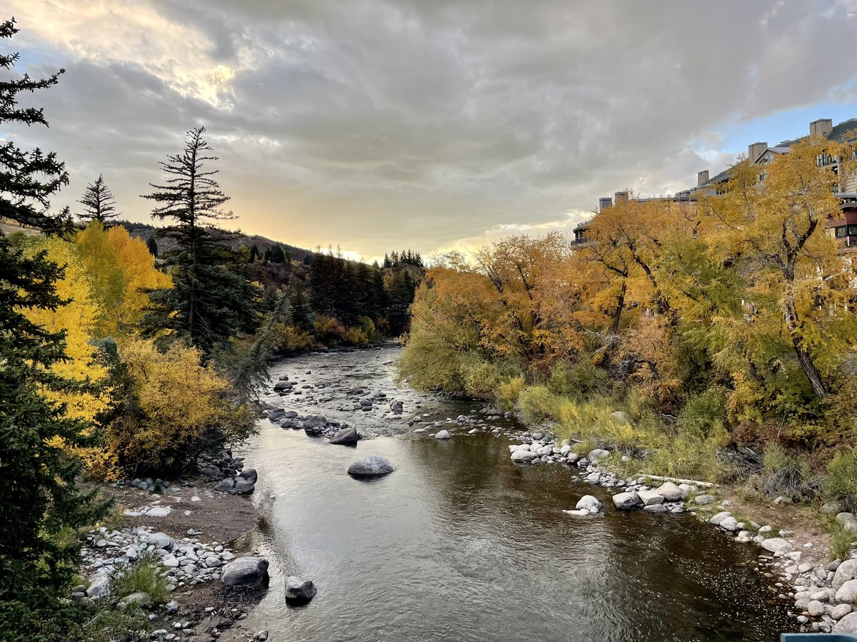 Houchun Hu (@hharryhhu) on Twitter photo 