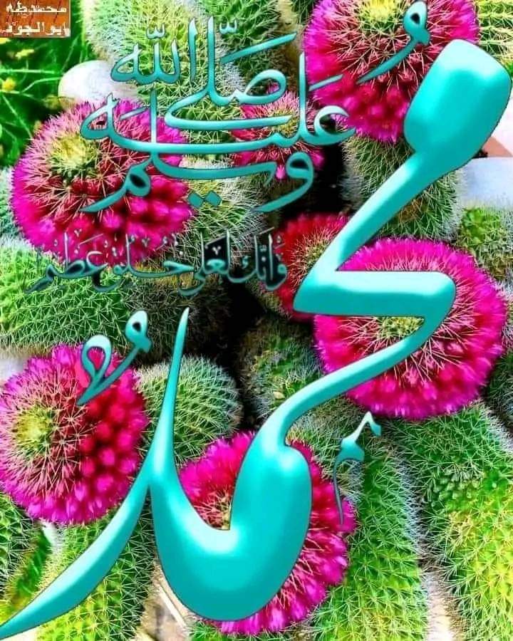 bagha3795's tweet photo. https://t.co/isFCdVGIZr