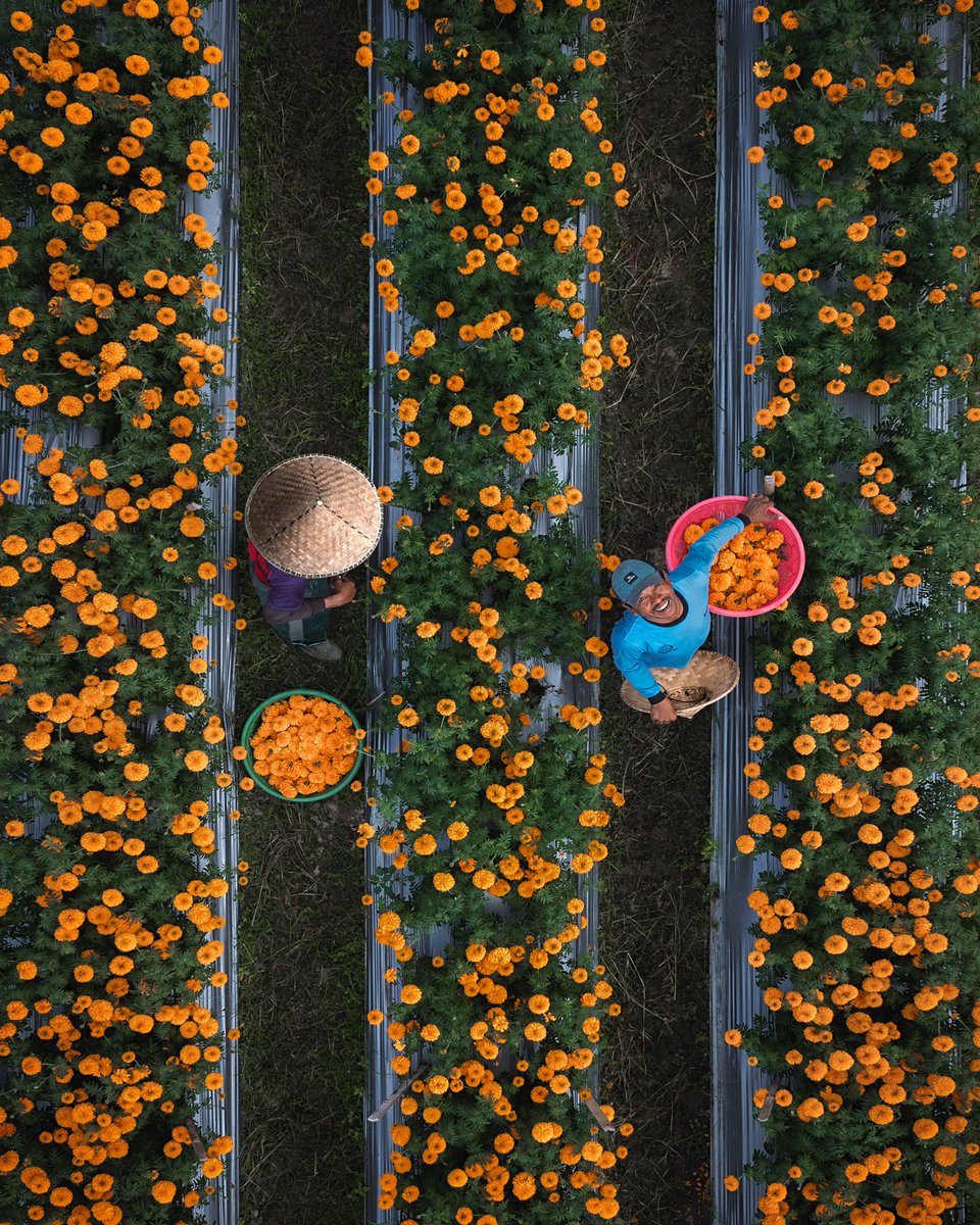 Gm 👨🏾‍🌾

Collected by <a href="/j_spelling/">J.Spelling</a>.