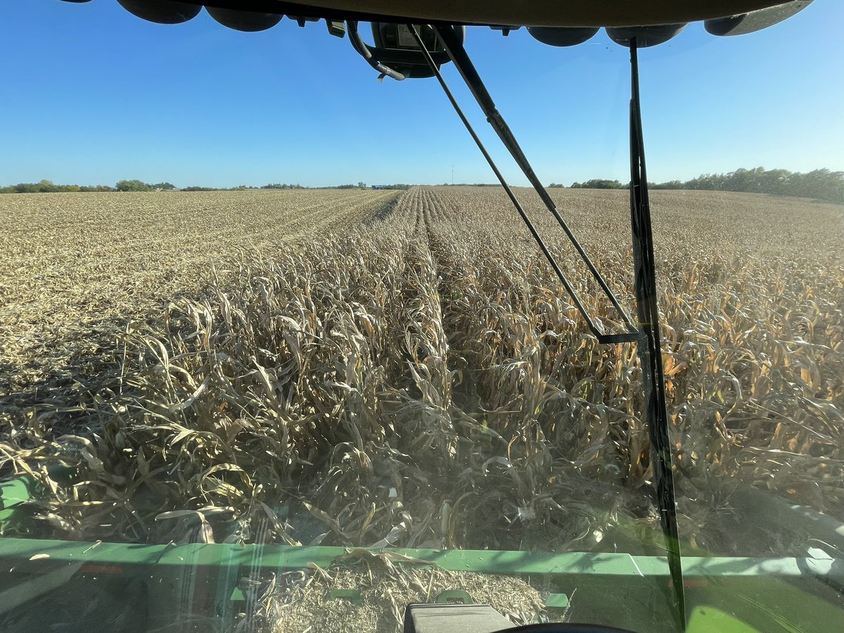 Great view today harvesting corn.  Less than 150 acres to go before #harvest22 is a wrap.