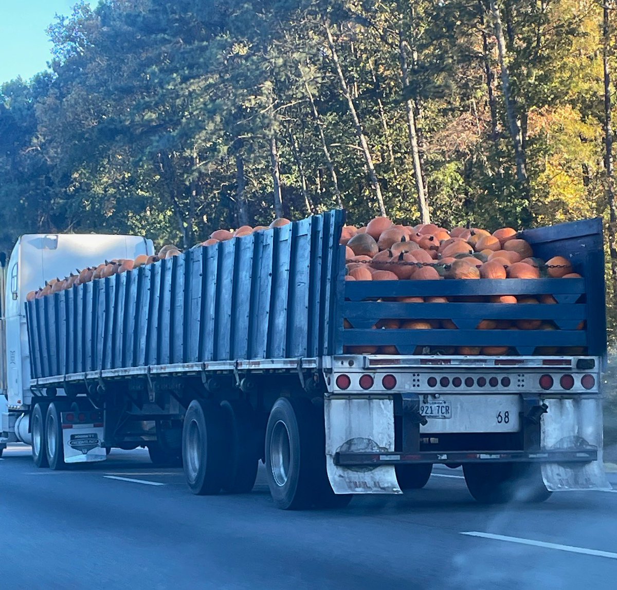 LiveaMemory's tweet photo. @CharlesMcCool ‘Tis the Season for Sure Charles!👍
My Daughter Sent Me this Pic Today After a #RoadTrip!😀🎃
#Autumn #Fall2022 #Travel #Funness https://t.co/ryxsc2PPaa