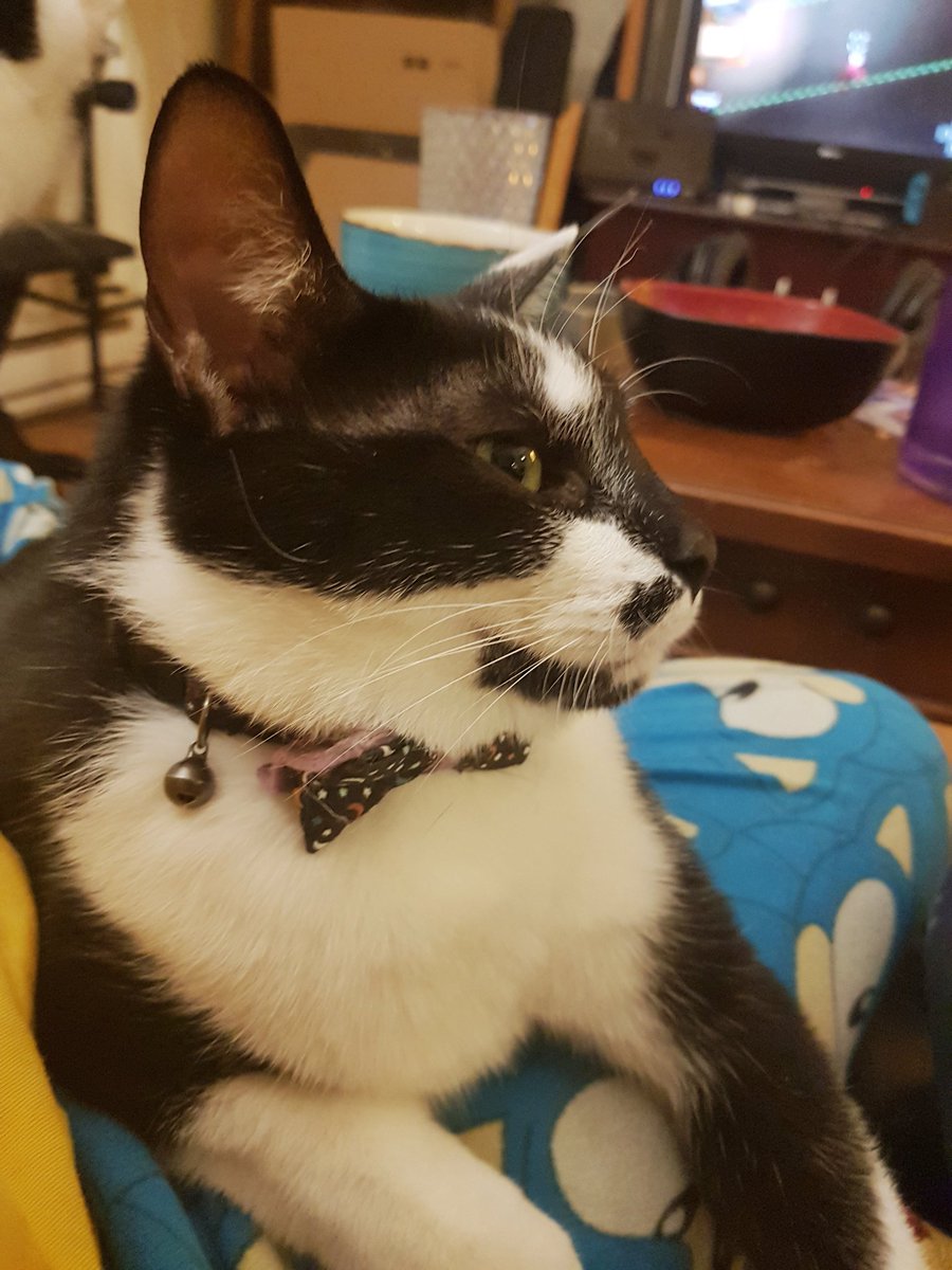 robofaerie's tweet photo. two days / two years
happy birthday to my little buddyyyyyy 🎉🎉🎉 https://t.co/QPVxwoFyqE