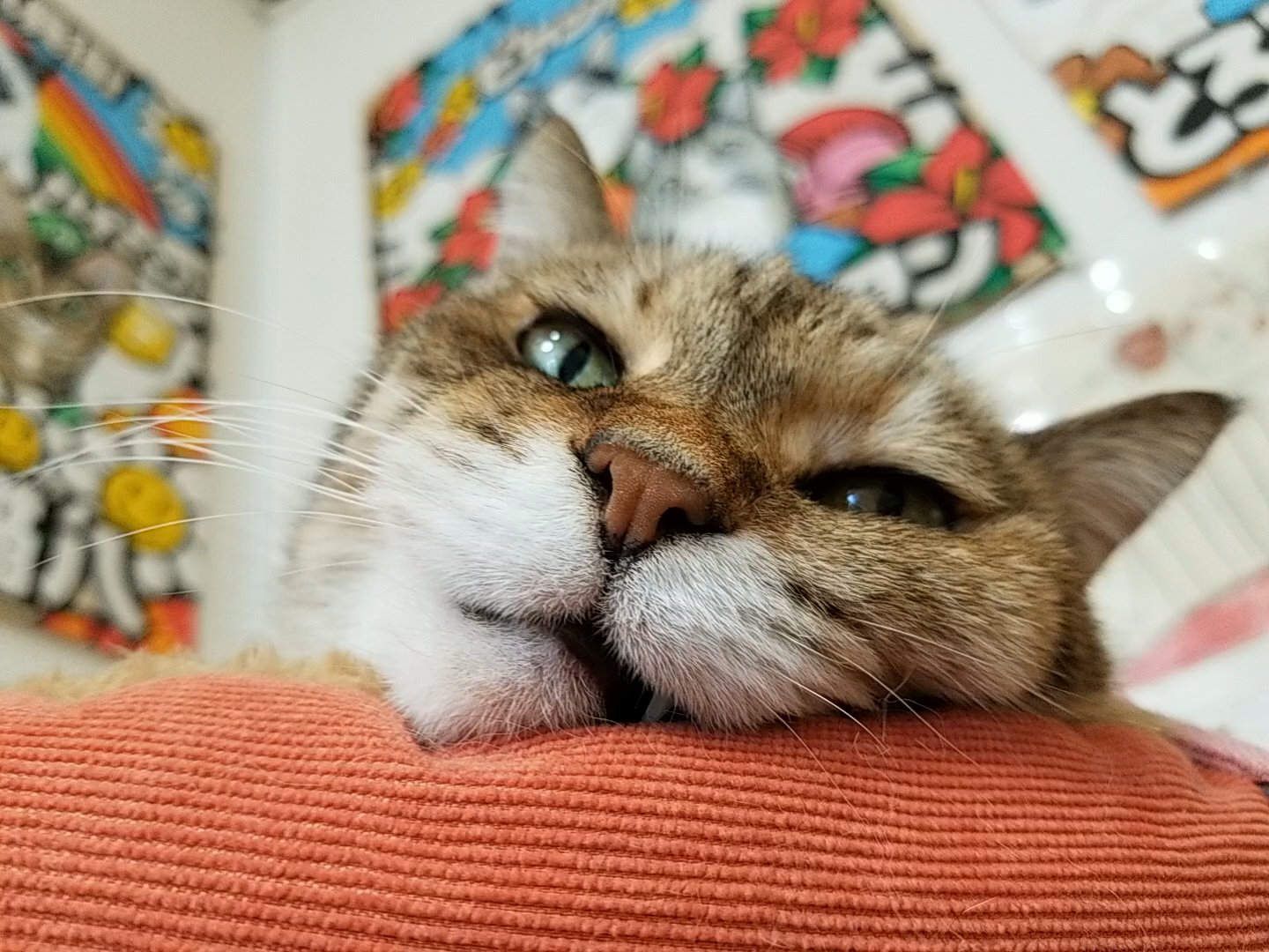 Erwamjukklwbgm