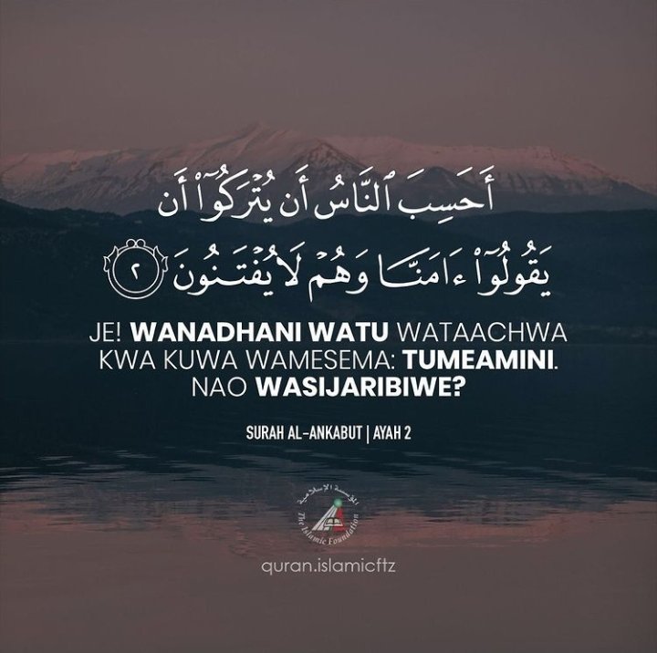 AssoGufasha's tweet photo. https://t.co/0vR46r3183