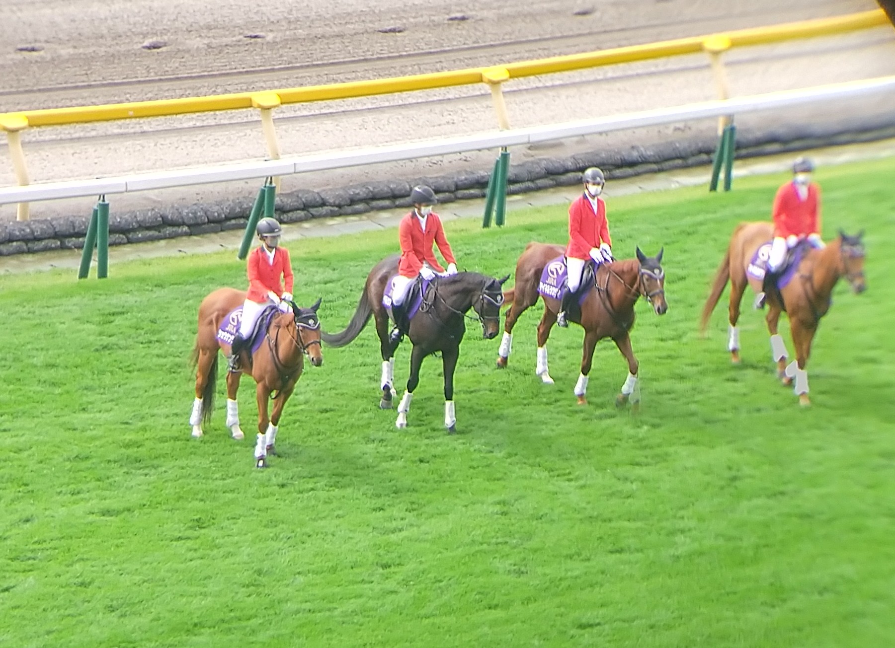 金子裕次郎 勝馬 ペルシアンナイト 落ち着いて誘導馬の仕事をこなしていますね 左から2番目 これからも新たな仕事 一生懸命頑張ってください 東京競馬場 毎日王冠 T Co 67fu26gpiy Twitter