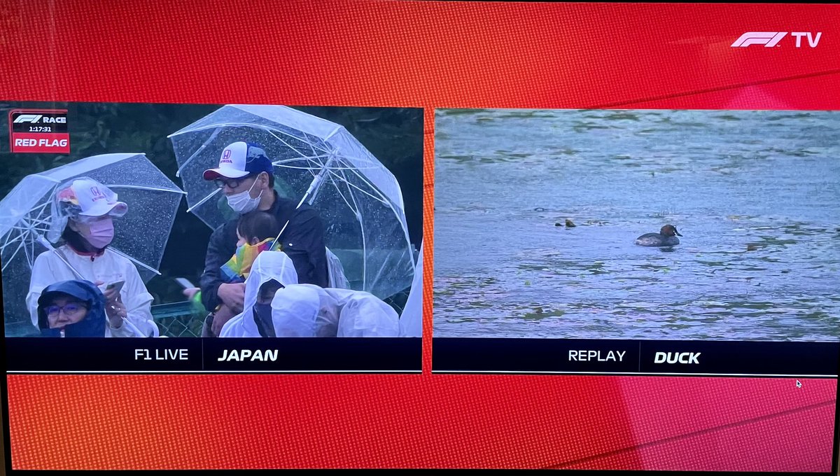 Marc Davidson tweet media