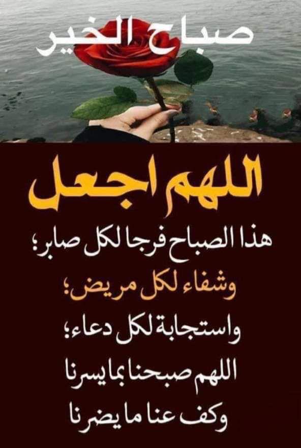 Abdalhlh4's tweet photo. @YIOM3vepzcPxNk7 https://t.co/Gj9ivGCYg6