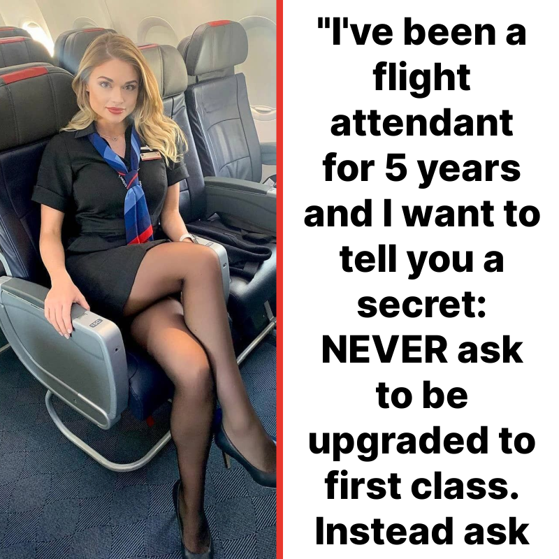 Travlerz2's tweet photo. From booking your flight to landing at your destination-- these flight attendants have all the inside tips you need. ✈️