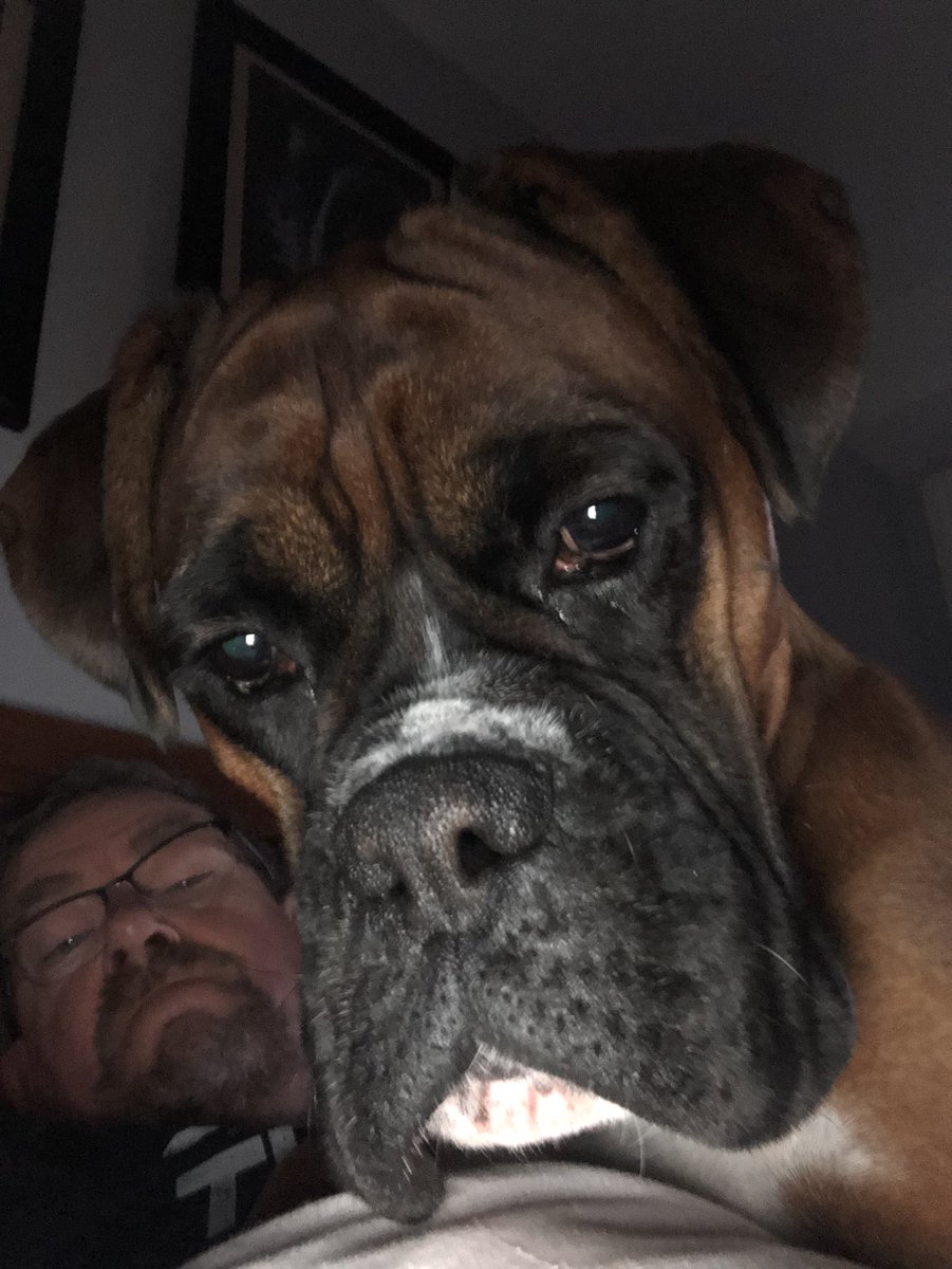 The alarm clocks gone off