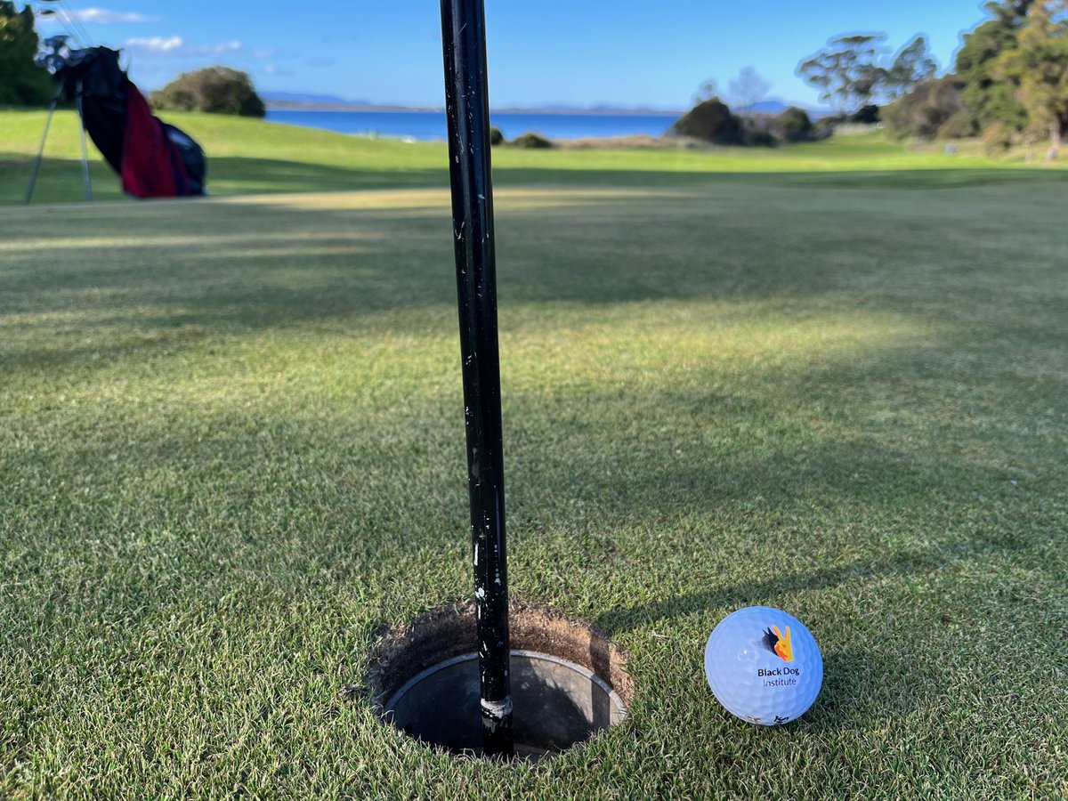 Sam Harvey (@samuel_harvey) on Twitter photo Making the most of extra time in Tassie (cancelled flight). Using my <a href="/blackdoginst/">Black Dog Institute</a> ball whilst racking up the kms walked to fund raise money for our amazing research and implementation teams. Here is the link if anyone would like to sponsor me onefootforward.org.au/fundraisers/sa⦠Making the most of extra time in Tassie (cancelled flight). Using my <a href="/blackdoginst/">Black Dog Institute</a> ball whilst racking up the kms walked to fund raise money for our amazing research and implementation teams. Here is the link if anyone would like to sponsor me onefootforward.org.au/fundraisers/saā¦