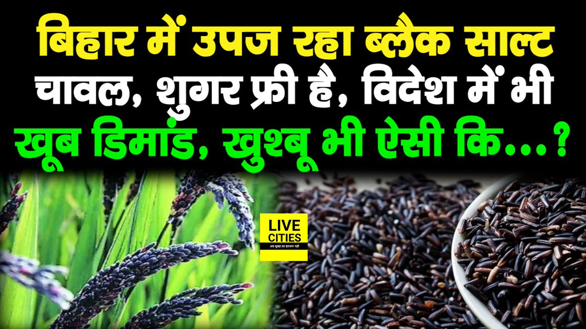 Live_Cities's tweet photo. देखें वीडियो, बिहार का काला नमक चावल आप भी देखिए, बीमारी दूर कर देगा, विदेश में भी खूब डिमांड, खुश्बू तो...

#BlackSaltRice #Buxar #Fermers 

https://t.co/K6c8kIEvjn https://t.co/5BS5uCwt0d