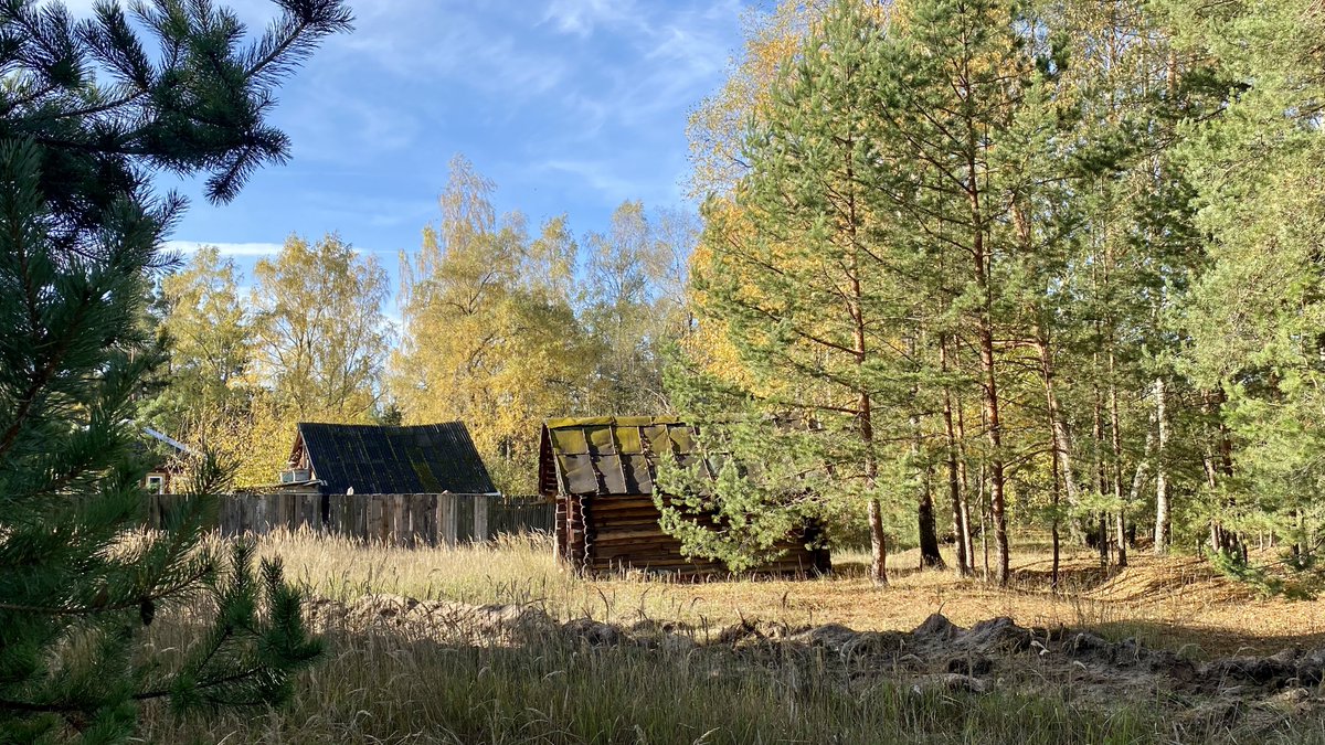 Приезжайте в прекрасную Шатуру.
Не оставлять же Людмилу Анатольевну в лесу. Нужно искать! 
3 ночи уже…

lizaalert.org/forum/viewtopi…