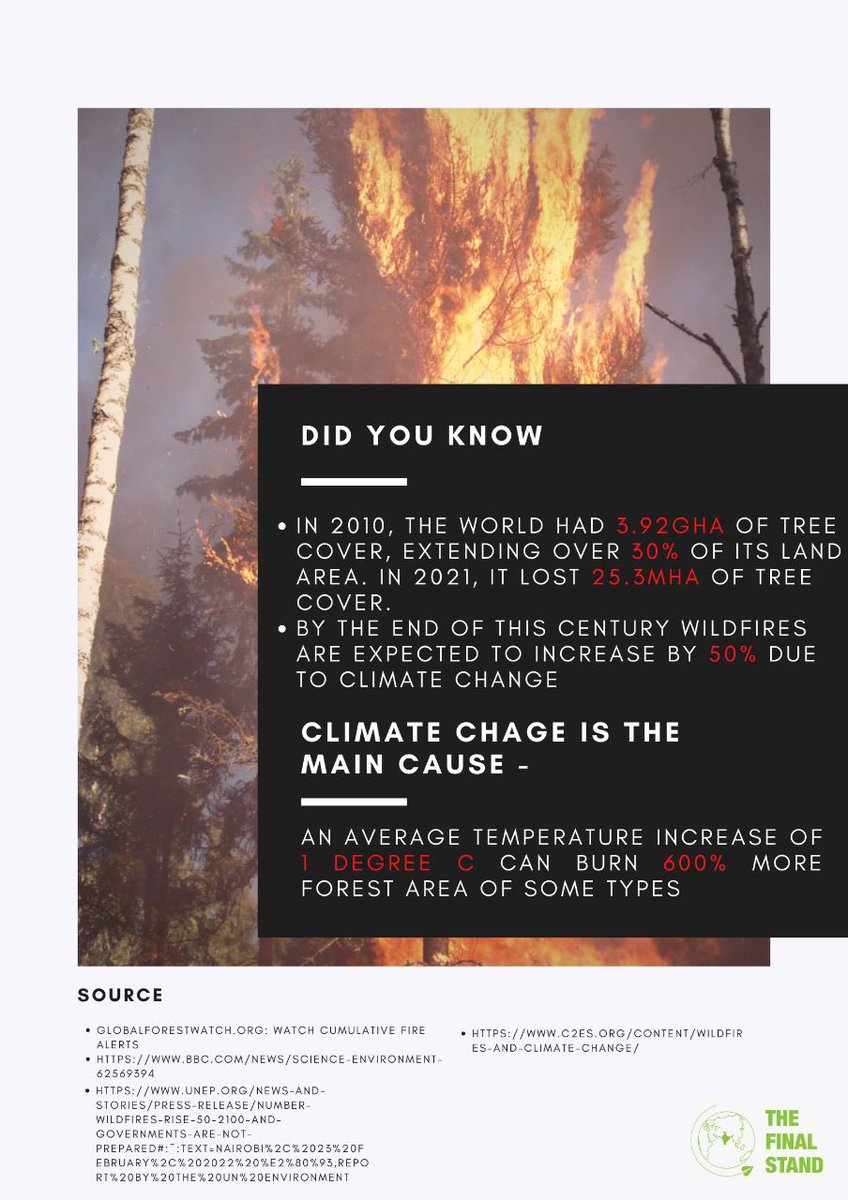 TheFinalStandIN's tweet photo. Billions of animals have died, and millions of people were displaced due to the wildfires that have been increasingly occurring. Australia, Brazil, California, and Siberia are places that experienced extreme wildfires in the past 2-3 years.

 #climateaction #bushfire #wildfires https://t.co/rCD3sFwq84