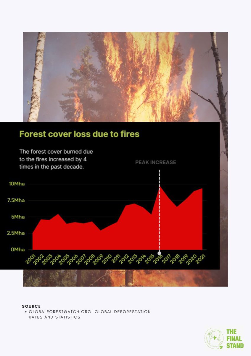 Billions of animals have died, and millions of people were displaced due to the wildfires that have been increasingly occurring. Australia, Brazil, California, and Siberia are places that experienced extreme wildfires in the past 2-3 years.

 #climateaction #bushfire #wildfires