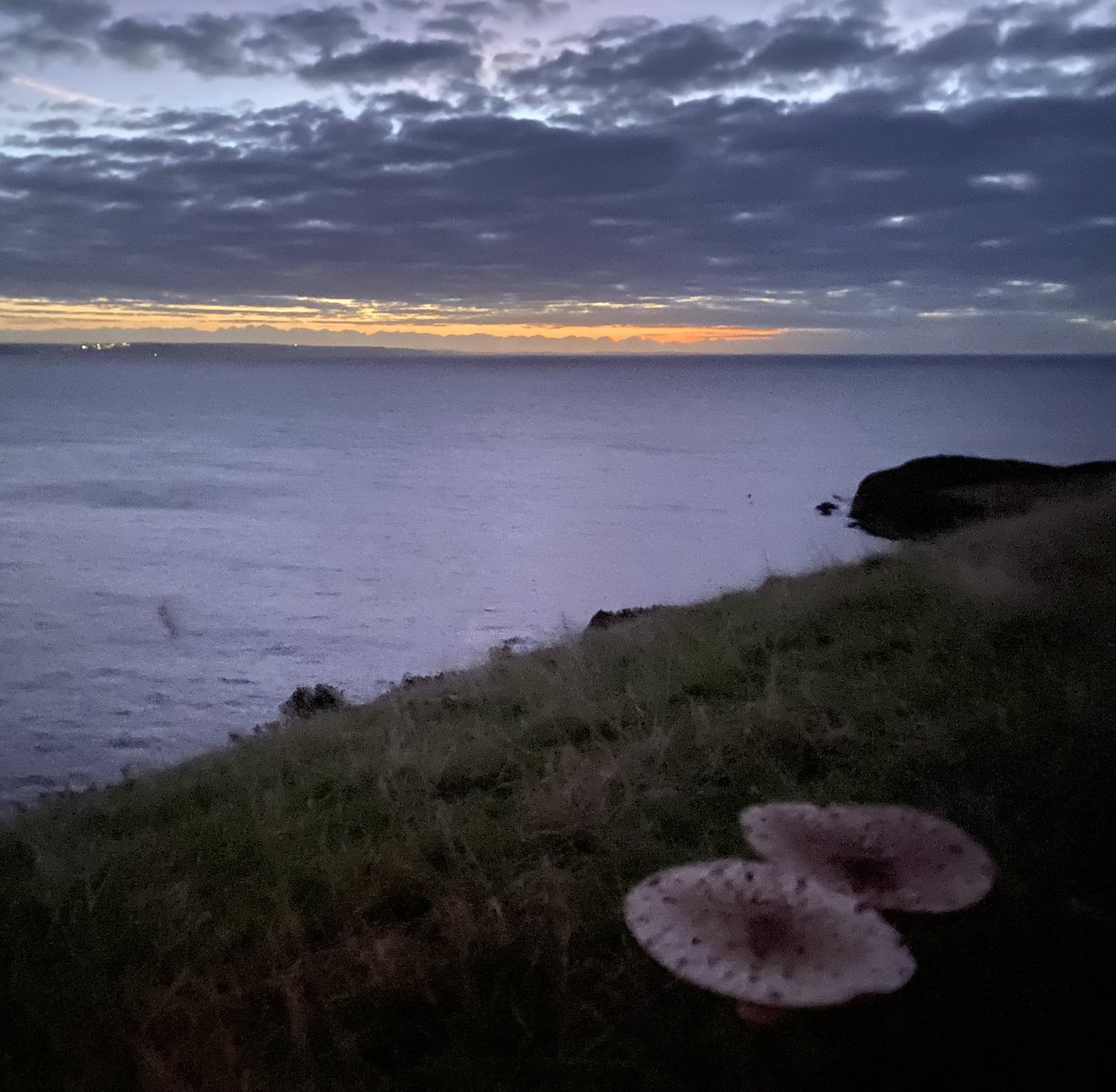 andyb066's tweet photo. Good morning @runningpunks Coastal outing with the beastie boy for #virtualsundayrunclub #runningpunks #runningpunk #mevagissy https://t.co/99CJA6ZaL2